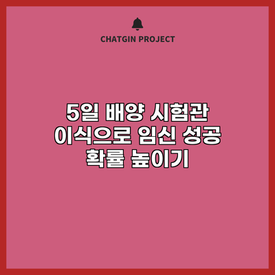 5일 배양 시험관 이식으로 임신 성공 확률 높이기