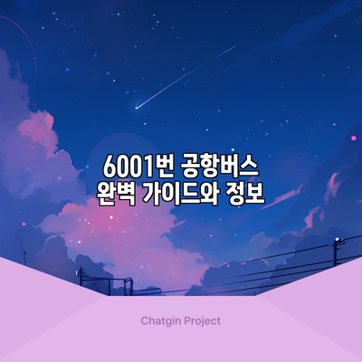6001번 공항버스: 완벽 가이드와 정보