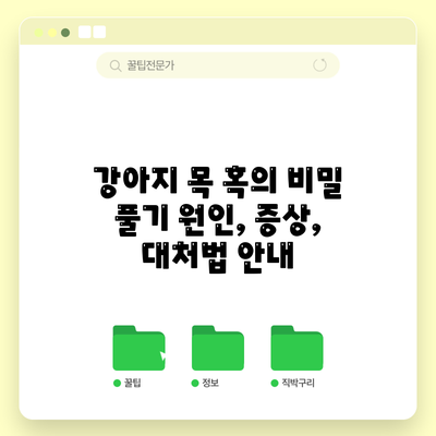 강아지 목 혹의 비밀 풀기: 원인, 증상, 대처법 안내