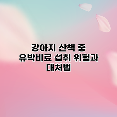 강아지 산책 중 유박비료 섭취 위험과 대처법