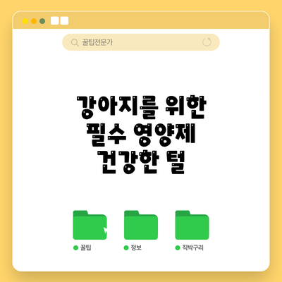 강아지를 위한 필수 영양제: 건강한 털