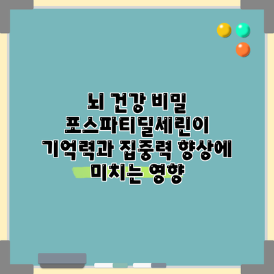 뇌 건강 비밀: 포스파티딜세린이 기억력과 집중력 향상에 미치는 영향