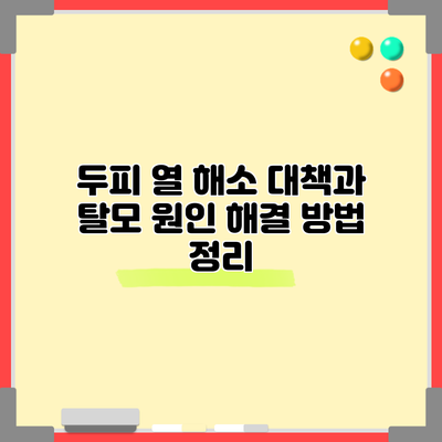 두피 열 해소 대책과 탈모 원인 해결 방법 정리