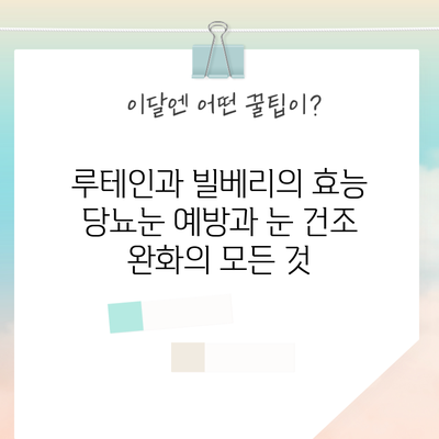 루테인과 빌베리의 효능: 당뇨눈 예방과 눈 건조 완화의 모든 것