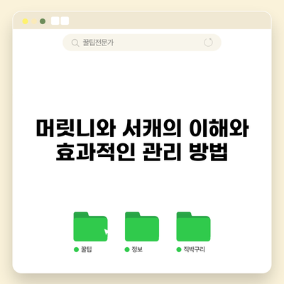 머릿니와 서캐의 이해와 효과적인 관리 방법