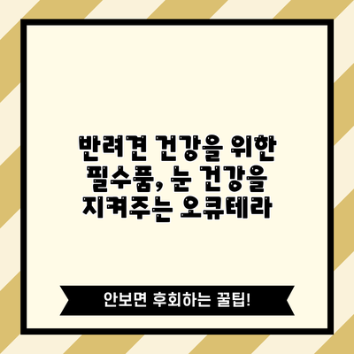 반려견 건강을 위한 필수품, 눈 건강을 지켜주는 오큐테라