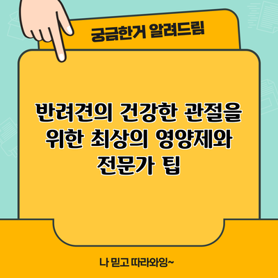 반려견의 건강한 관절을 위한 최상의 영양제와 전문가 팁