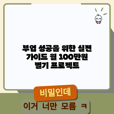 부업 성공을 위한 실전 가이드: 월 100만원 벌기 프로젝트