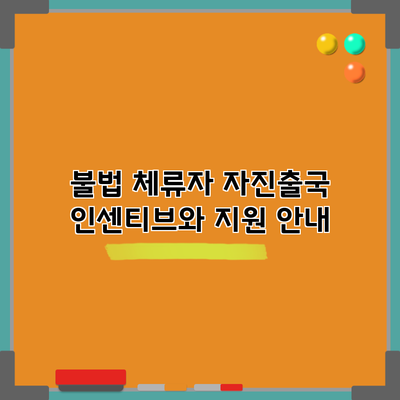 불법 체류자 자진출국 인센티브와 지원 안내