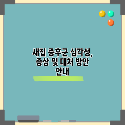 새집 증후군: 심각성, 증상 및 대처 방안 안내