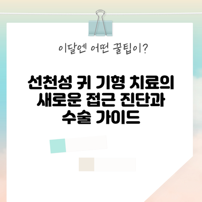 선천성 귀 기형 치료의 새로운 접근: 진단과 수술 가이드