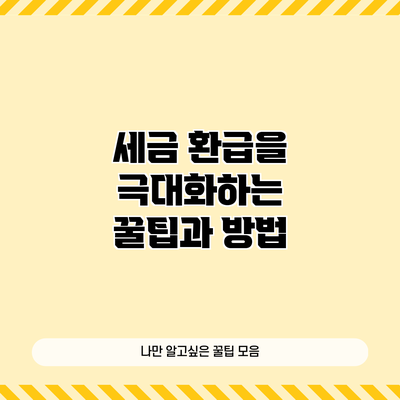 세금 환급을 극대화하는 꿀팁과 방법