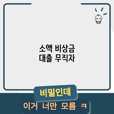 소액 비상금 대출: 무직자