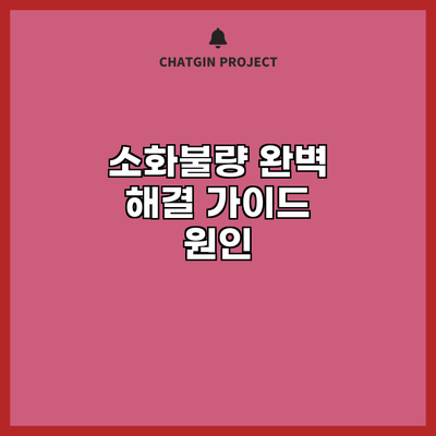 소화불량 완벽 해결 가이드: 원인
