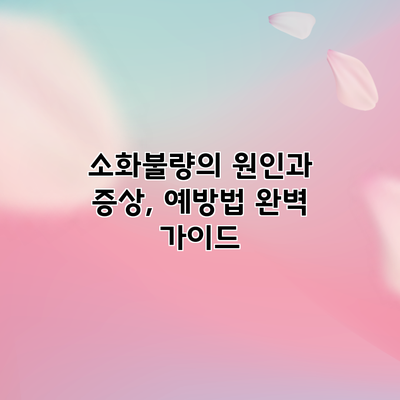 소화불량의 원인과 증상, 예방법 완벽 가이드