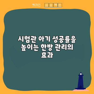 시험관 아기 성공률을 높이는 한방 관리의 효과