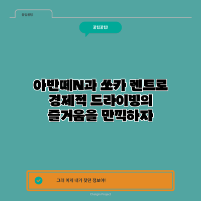 아반떼N과 쏘카 렌트로 경제적 드라이빙의 즐거움을 만끽하자