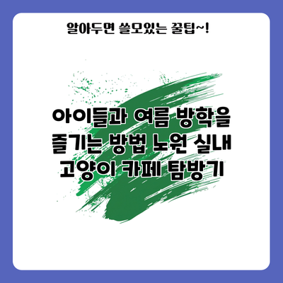 아이들과 여름 방학을 즐기는 방법: 노원 실내 고양이 카페 탐방기