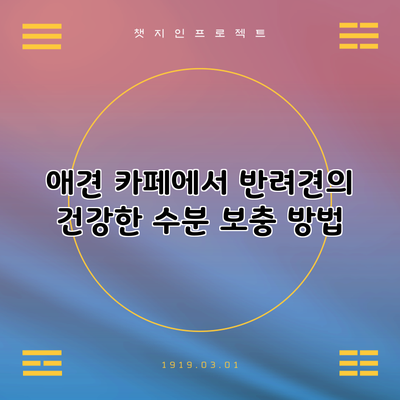 애견 카페에서 반려견의 건강한 수분 보충 방법