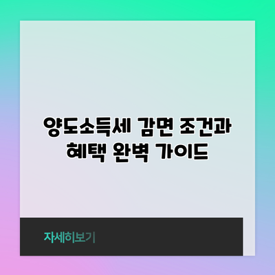 양도소득세 감면 조건과 혜택 완벽 가이드