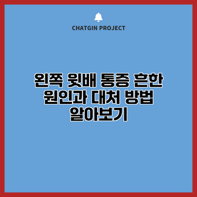왼쪽 윗배 통증: 흔한 원인과 대처 방법 알아보기