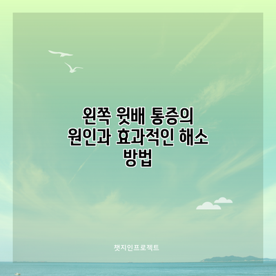 왼쪽 윗배 통증의 원인과 효과적인 해소 방법