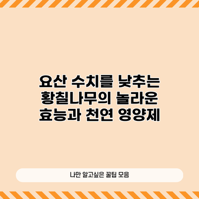 요산 수치를 낮추는 황칠나무의 놀라운 효능과 천연 영양제