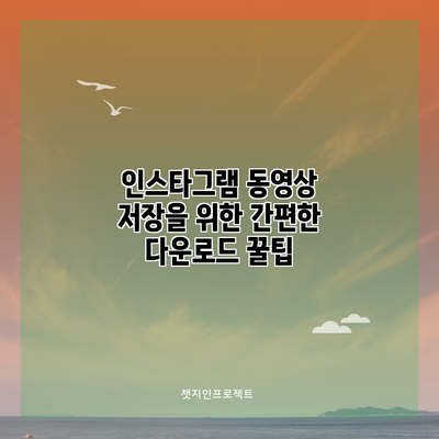 인스타그램 동영상 저장을 위한 간편한 다운로드 꿀팁