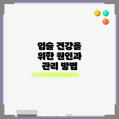 입술 건강을 위한 원인과 관리 방법