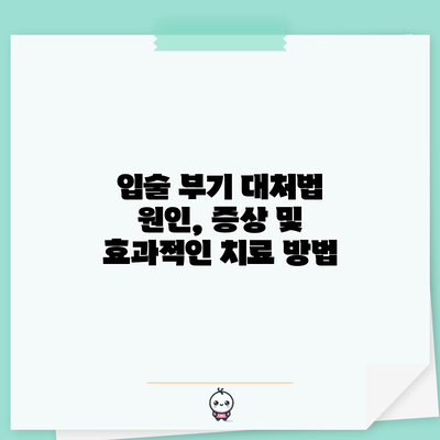 입술 부기 대처법: 원인, 증상 및 효과적인 치료 방법