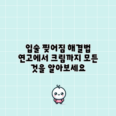 입술 찢어짐 해결법: 연고에서 크림까지 모든 것을 알아보세요