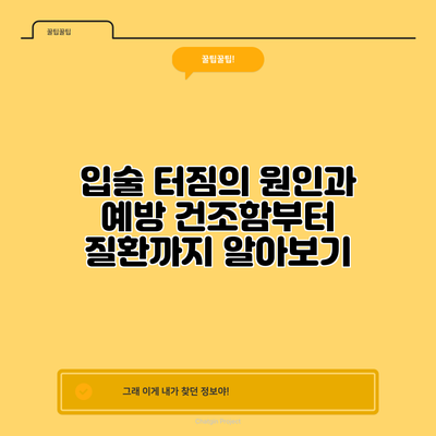 입술 터짐의 원인과 예방: 건조함부터 질환까지 알아보기
