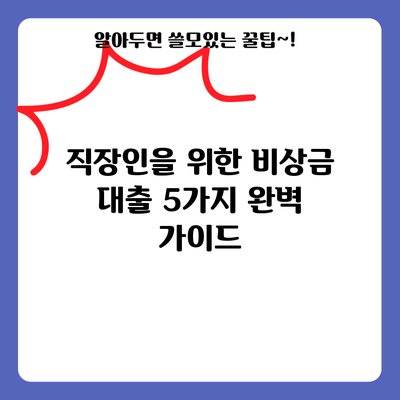 직장인을 위한 비상금 대출 5가지 완벽 가이드