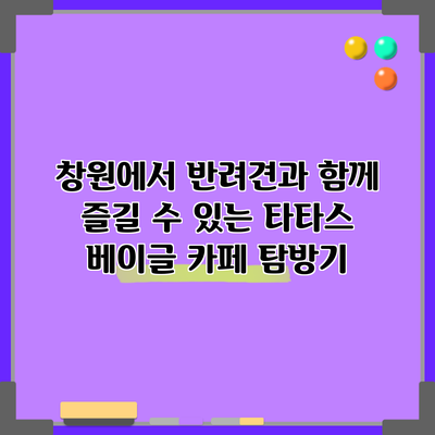 창원에서 반려견과 함께 즐길 수 있는 타타스 베이글 카페 탐방기