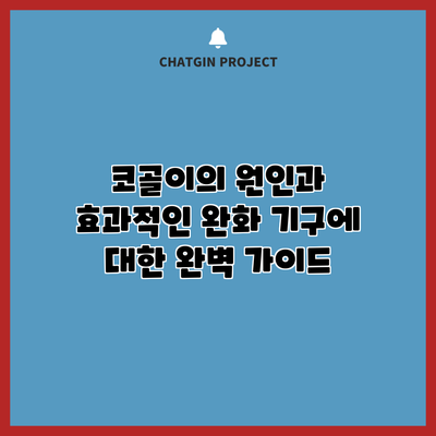 코골이의 원인과 효과적인 완화 기구에 대한 완벽 가이드