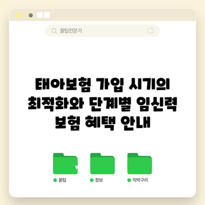 태아보험 가입 시기의 최적화와 단계별 임신력 보험 혜택 안내