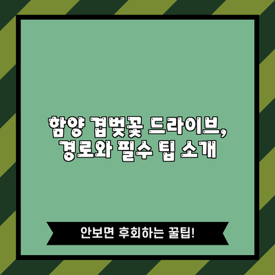 함양 겹벚꽃 드라이브, 경로와 필수 팁 소개