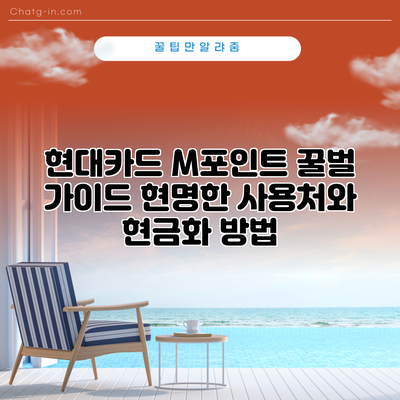 현대카드 M포인트 꿀벌 가이드: 현명한 사용처와 현금화 방법