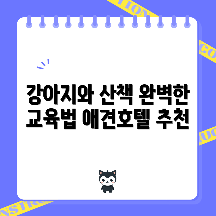 강아지 산책 교육 완벽 가이드: 분당 애견호텔