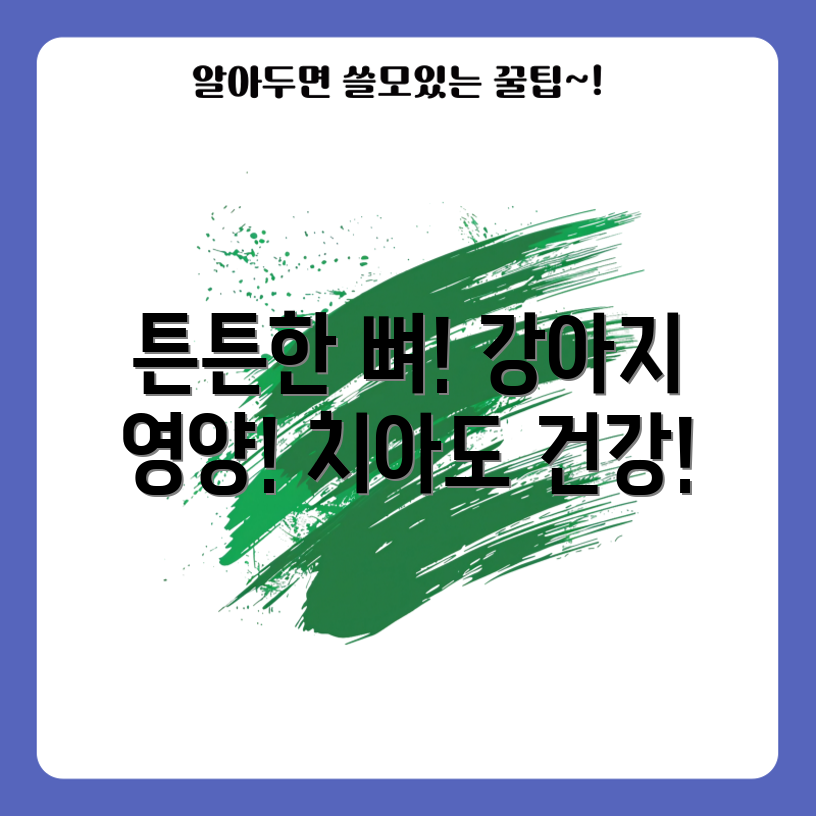 강아지 영양제 완벽 가이드: 튼튼한 뼈와 치아!