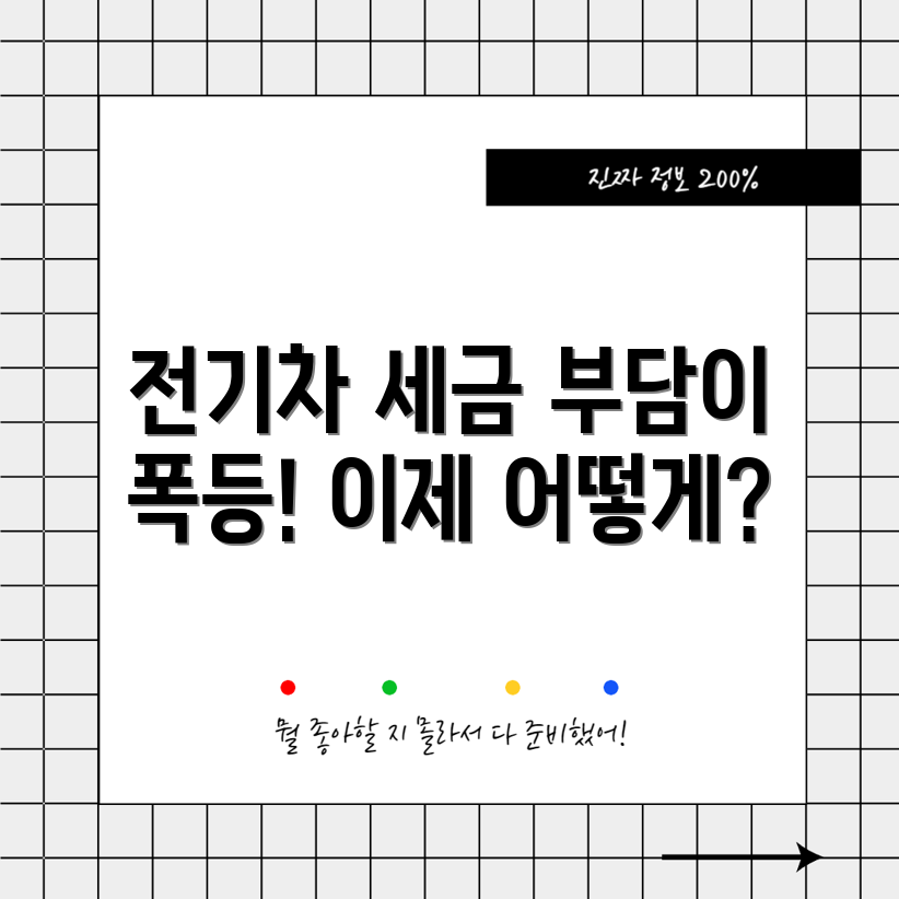 누구나 이해하는 고가 전기차 세금 부담 100% 증가!