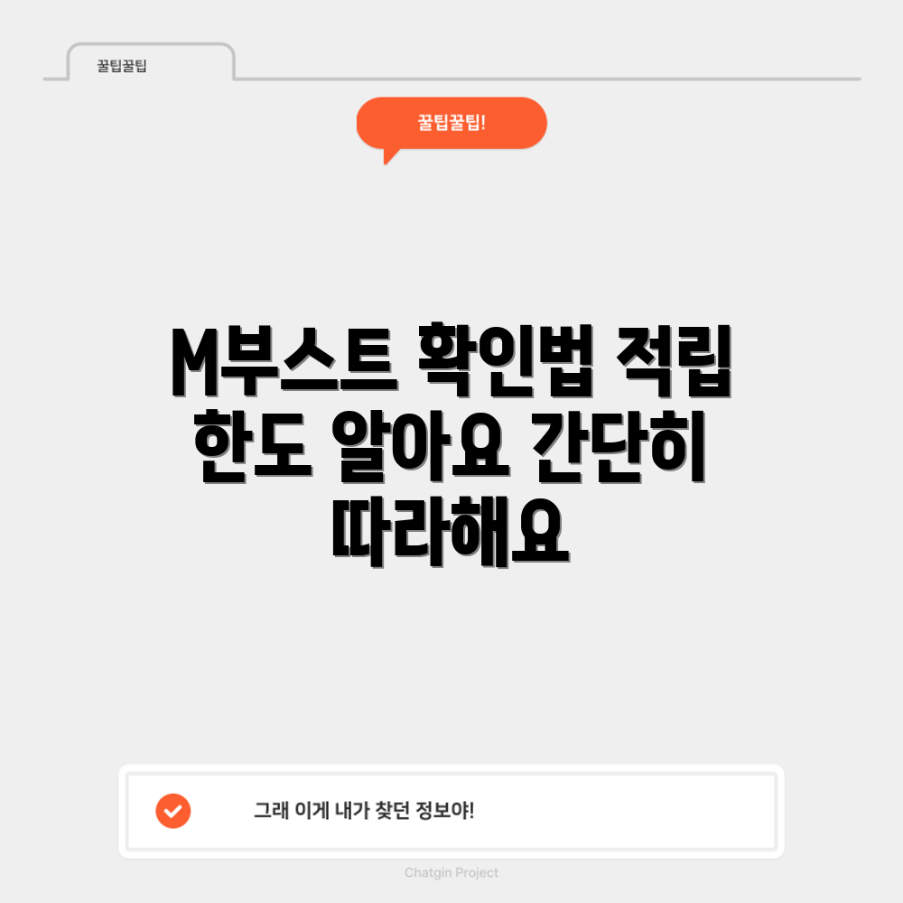 현대카드 M 부스트 적립 한도, 어떻게 확인할까요?