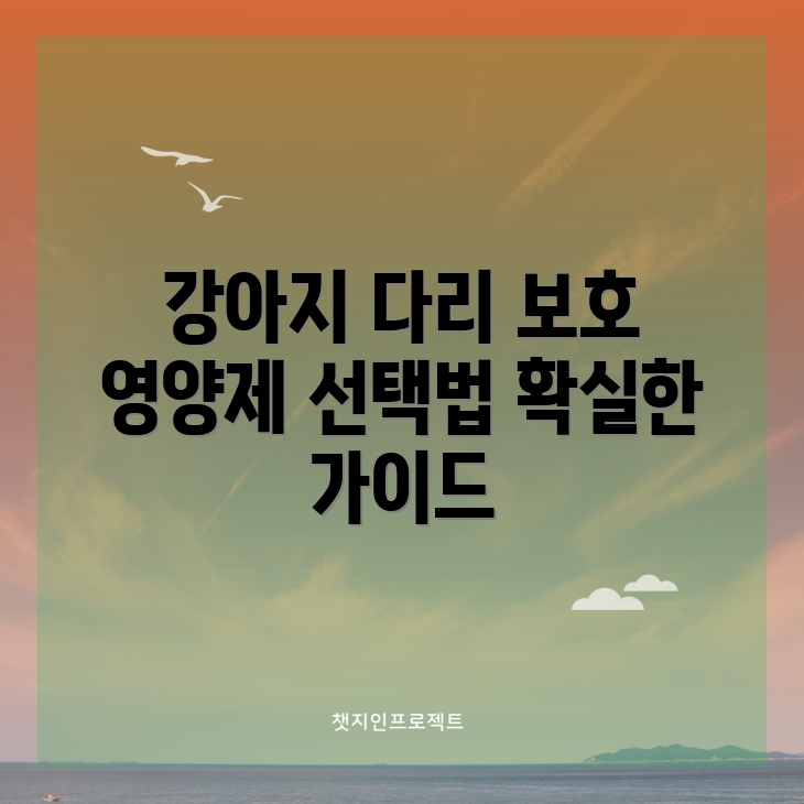 강아지 다리 절뚝임 방어막: 영양제 선택 완벽 가이드