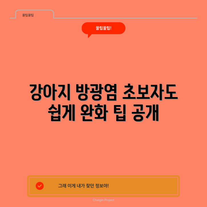 초보자도 쉽게 알아보는 강아지 방광염 완화 방법