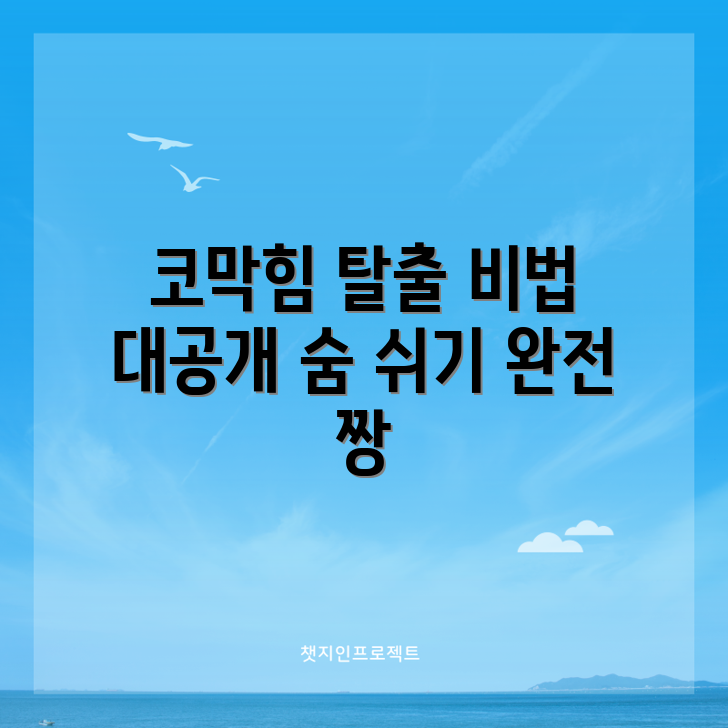 믿을 수 없는 코막힘 극복 가이드!