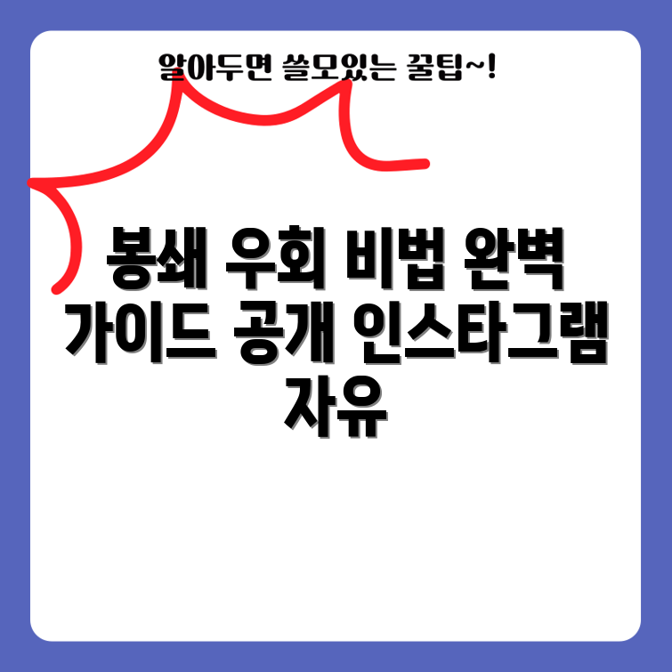 인스타그램 봉쇄 우회하기: 완벽 가이드