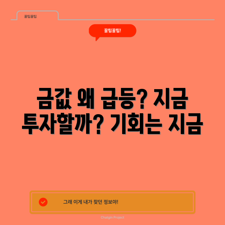 충격적인 금값 급등 이유! 지금 투자할 때?