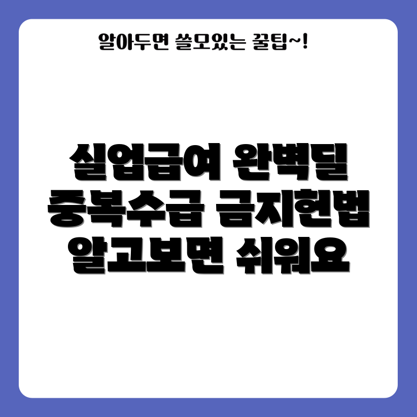 실업급여 중복 수급 금지 완벽 가이드