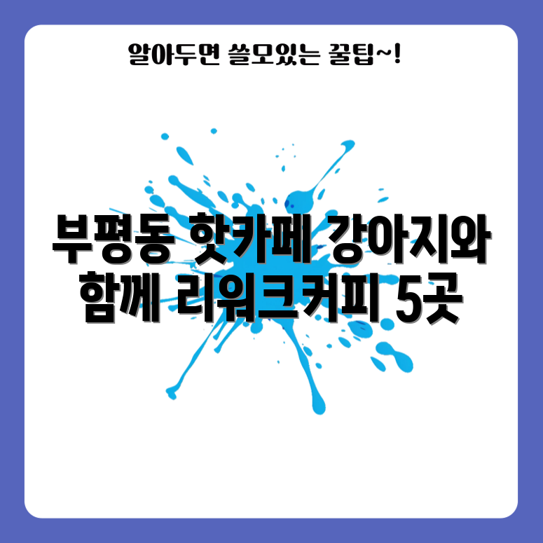 인천 부평동 애견 동반 카페 리워크커피 5선