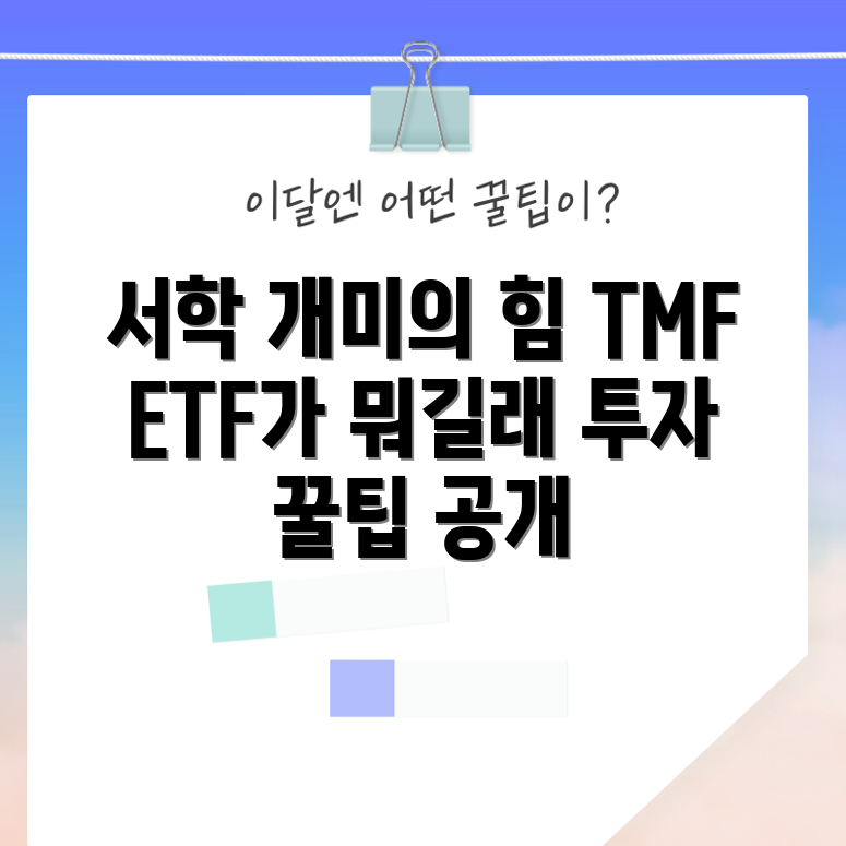 서학 개미와 TMF ETF, 어떤 상관관계일까요?